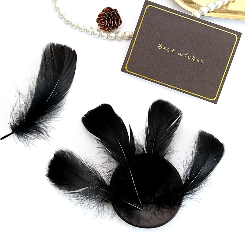 Lamar Feather 300pcs Black Feathers 2-3 Inches Bulk Feathers for Crafting, Dream Catcher Accessories, Art Projects, DIY Crafting, Handi Crafts, Party Decoration (Black) - Image 5